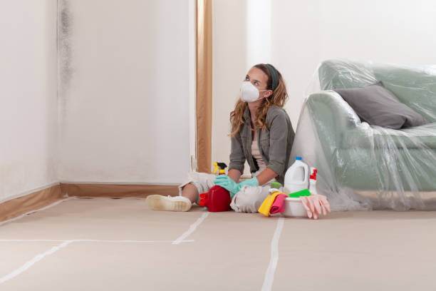 Reliable Basement Mold Remediation contractor in Merchantville, NJ by WQB Mold Removal